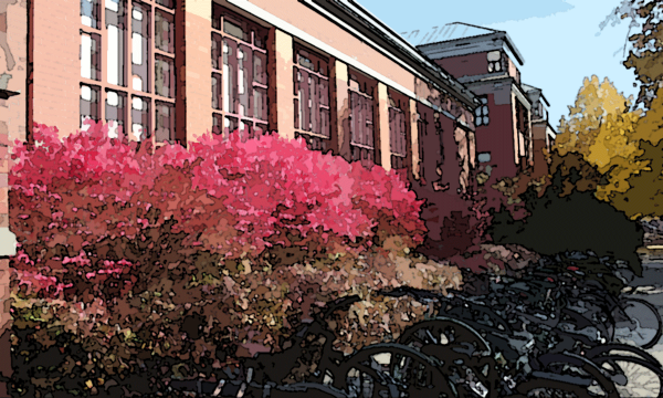 Decorative Photo Button: Brick building, bikes, and fall leaves