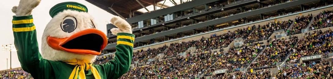 Oregon Duck in stadium